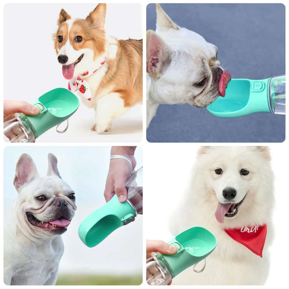 Dispensador de agua portátil para perros pequeños y grandes desde 300 ml